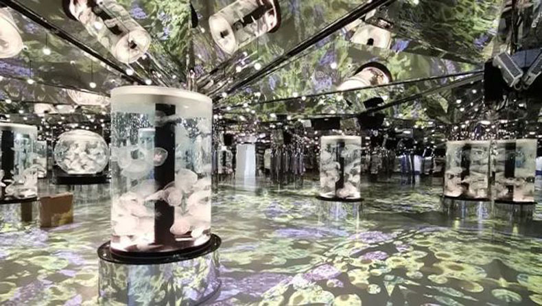 臺(tái)灣 Xpark 水族館，全方位沉浸式暢快游樂(lè)體驗(yàn)