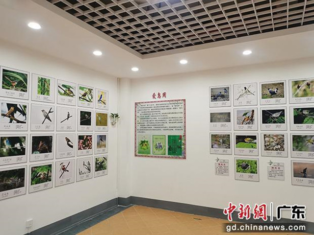 樂昌首家野生鳥類展覽館開放，設(shè)計(jì)建筑面積約170多平米