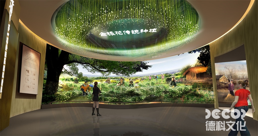 數(shù)字博物館設(shè)計(jì)中如何設(shè)計(jì)數(shù)字化展品的發(fā)展歷史和未來(lái)趨勢(shì)？